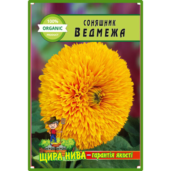 Подсолнух Медвежонок