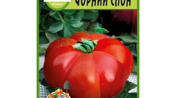 Томат Чорний слон пакет 20 насінин