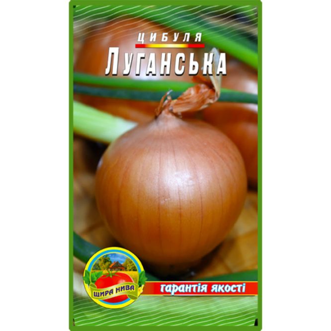 насіння-цибуля-луганська-щира-нива