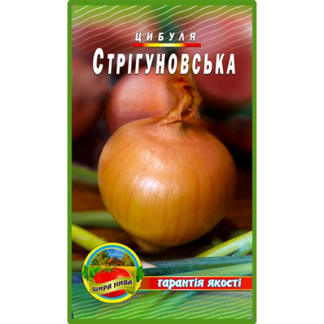 насіння-цибуля-стрігуновська--щира-нива