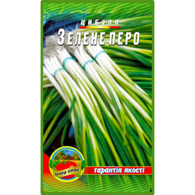 насіння-цибуля-зелене-перо-щира-нива